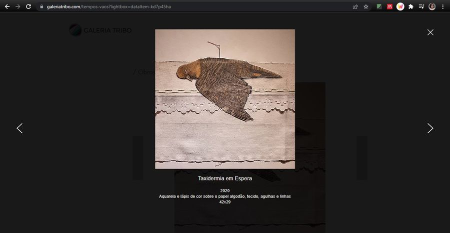 Registro do evento Tempos vãos?, capturado em 15/02/2022 11:46:14